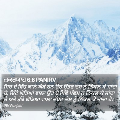 ਜ਼ਕਰਯਾਹ 6:6 PANIRV Bible Verse Image