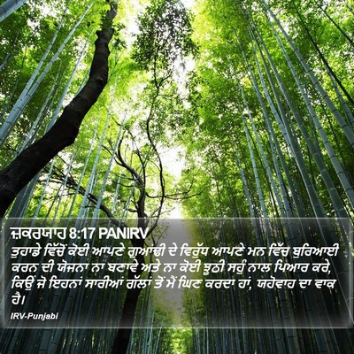 ਜ਼ਕਰਯਾਹ 8:17 PANIRV Bible Verse Image