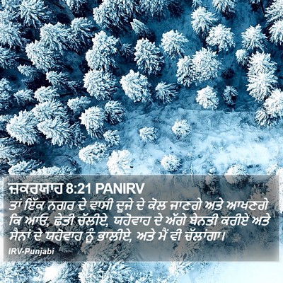 ਜ਼ਕਰਯਾਹ 8:21 PANIRV Bible Verse Image