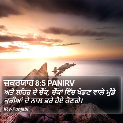 ਜ਼ਕਰਯਾਹ 8:5 PANIRV Bible Verse Image