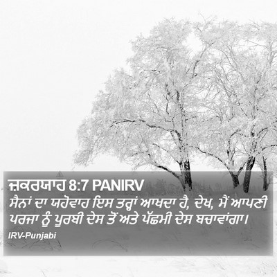 ਜ਼ਕਰਯਾਹ 8:7 PANIRV Bible Verse Image