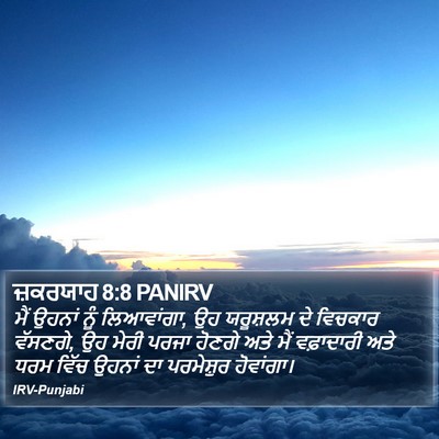 ਜ਼ਕਰਯਾਹ 8:8 PANIRV Bible Verse Image