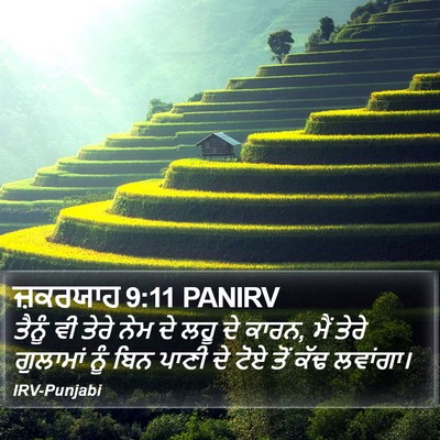 ਜ਼ਕਰਯਾਹ 9:11 PANIRV Bible Verse Image