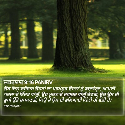 ਜ਼ਕਰਯਾਹ 9:16 PANIRV Bible Verse Image