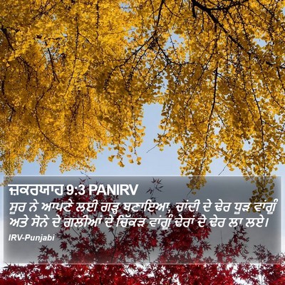ਜ਼ਕਰਯਾਹ 9:3 PANIRV Bible Verse Image