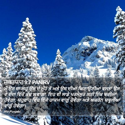ਜ਼ਕਰਯਾਹ 9:7 PANIRV Bible Verse Image