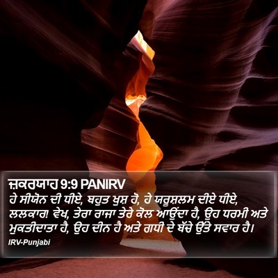 ਜ਼ਕਰਯਾਹ 9:9 PANIRV Bible Verse Image