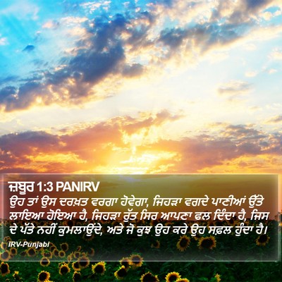 ਜ਼ਬੂਰ 1:3 PANIRV Bible Verse Image