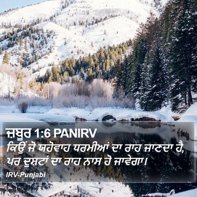 ਜ਼ਬੂਰ 1:6 PANIRV Bible Verse Image