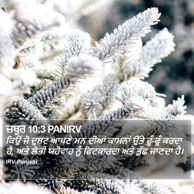 ਜ਼ਬੂਰ 10:3 PANIRV Bible Verse Image