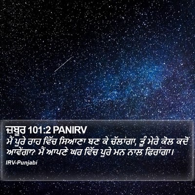 ਜ਼ਬੂਰ 101:2 PANIRV Bible Verse Image