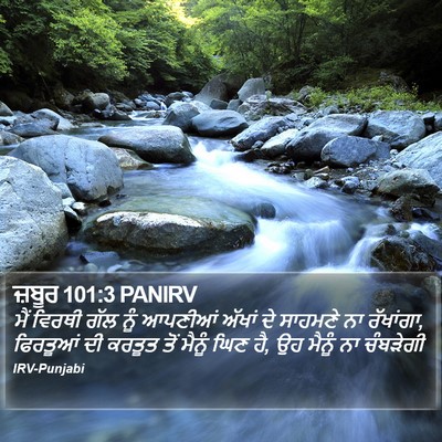 ਜ਼ਬੂਰ 101:3 PANIRV Bible Verse Image