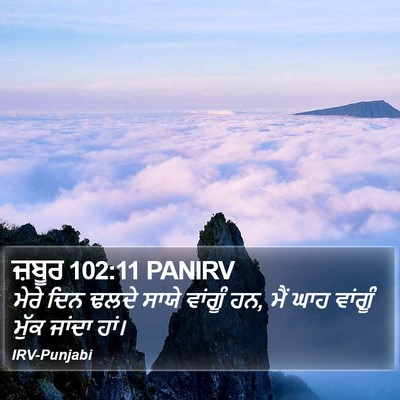 ਜ਼ਬੂਰ 102:11 PANIRV Bible Verse Image