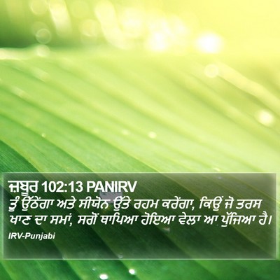 ਜ਼ਬੂਰ 102:13 PANIRV Bible Verse Image