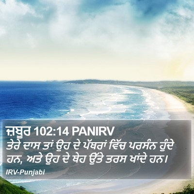 ਜ਼ਬੂਰ 102:14 PANIRV Bible Verse Image