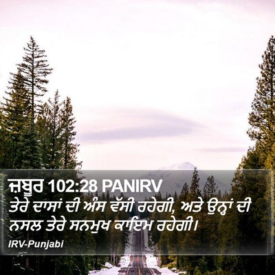 ਜ਼ਬੂਰ 102:28 PANIRV Bible Verse Image