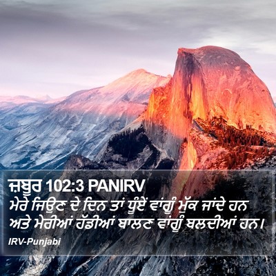ਜ਼ਬੂਰ 102:3 PANIRV Bible Verse Image