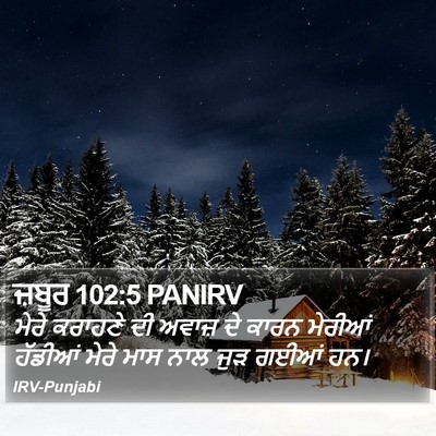 ਜ਼ਬੂਰ 102:5 PANIRV Bible Verse Image