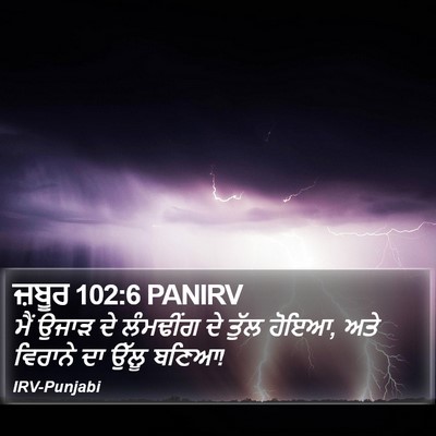 ਜ਼ਬੂਰ 102:6 PANIRV Bible Verse Image