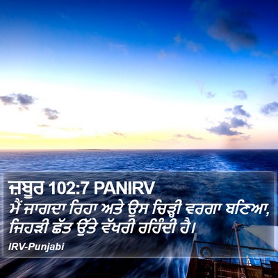 ਜ਼ਬੂਰ 102:7 PANIRV Bible Verse Image