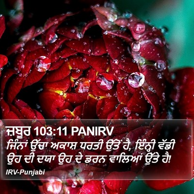 ਜ਼ਬੂਰ 103:11 PANIRV Bible Verse Image