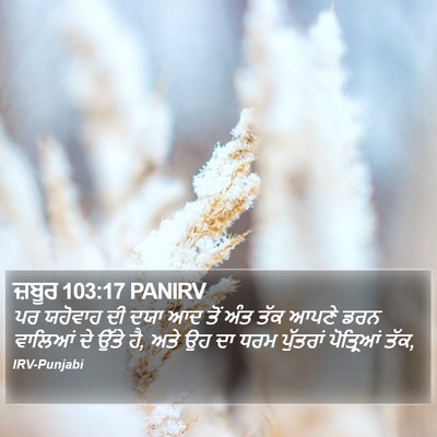 ਜ਼ਬੂਰ 103:17 PANIRV Bible Verse Image