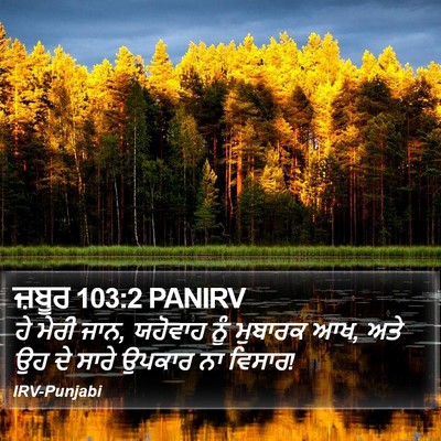 ਜ਼ਬੂਰ 103:2 PANIRV Bible Verse Image