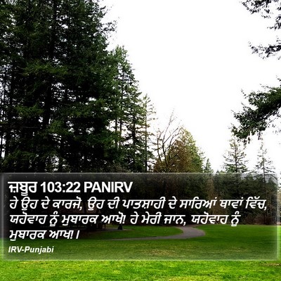 ਜ਼ਬੂਰ 103:22 PANIRV Bible Verse Image