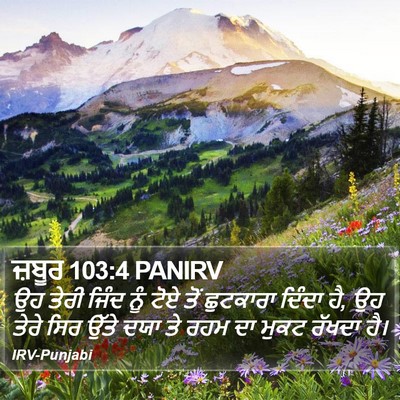 ਜ਼ਬੂਰ 103:4 PANIRV Bible Verse Image