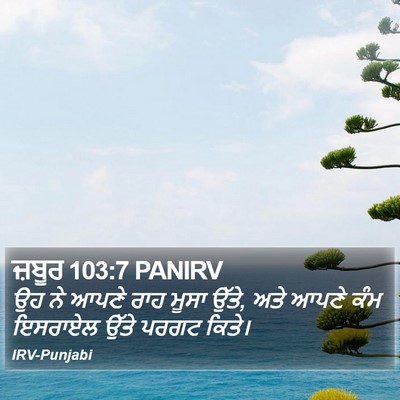 ਜ਼ਬੂਰ 103:7 PANIRV Bible Verse Image