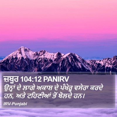 ਜ਼ਬੂਰ 104:12 PANIRV Bible Verse Image