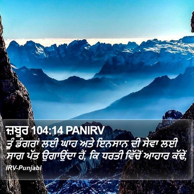 ਜ਼ਬੂਰ 104:14 PANIRV Bible Verse Image