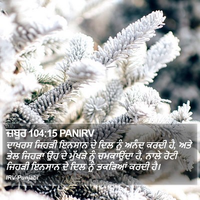 ਜ਼ਬੂਰ 104:15 PANIRV Bible Verse Image