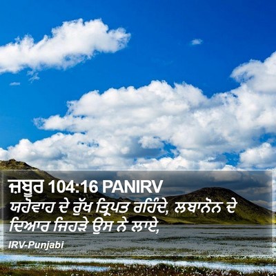 ਜ਼ਬੂਰ 104:16 PANIRV Bible Verse Image