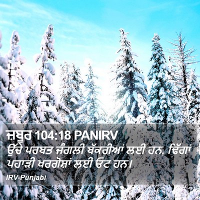 ਜ਼ਬੂਰ 104:18 PANIRV Bible Verse Image