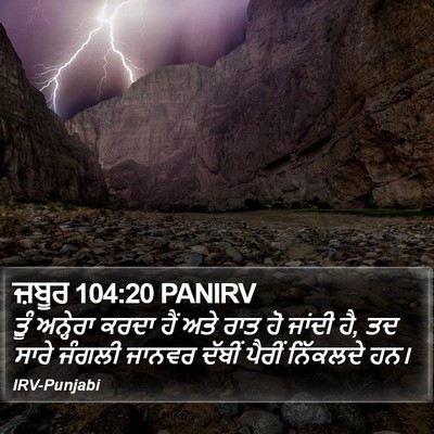 ਜ਼ਬੂਰ 104:20 PANIRV Bible Verse Image