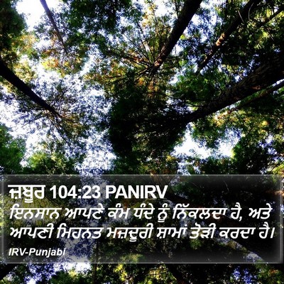 ਜ਼ਬੂਰ 104:23 PANIRV Bible Verse Image