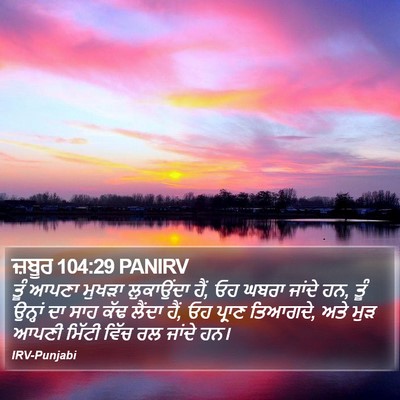 ਜ਼ਬੂਰ 104:29 PANIRV Bible Verse Image