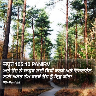 ਜ਼ਬੂਰ 105:10 PANIRV Bible Verse Image