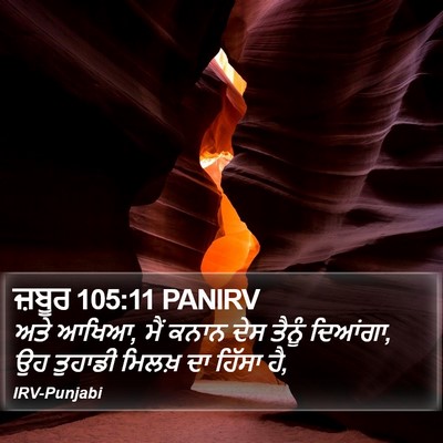ਜ਼ਬੂਰ 105:11 PANIRV Bible Verse Image