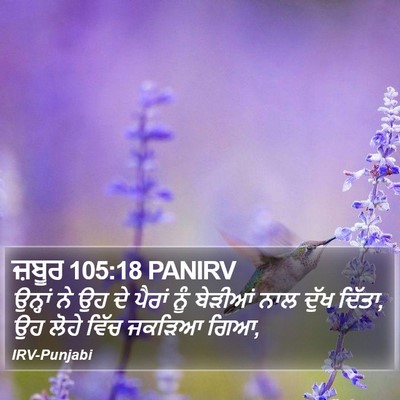 ਜ਼ਬੂਰ 105:18 PANIRV Bible Verse Image