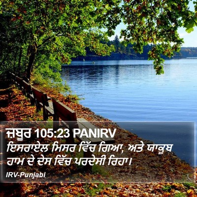 ਜ਼ਬੂਰ 105:23 PANIRV Bible Verse Image