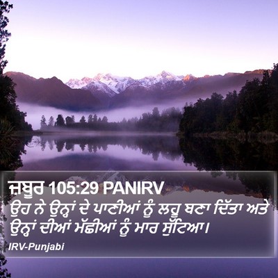 ਜ਼ਬੂਰ 105:29 PANIRV Bible Verse Image