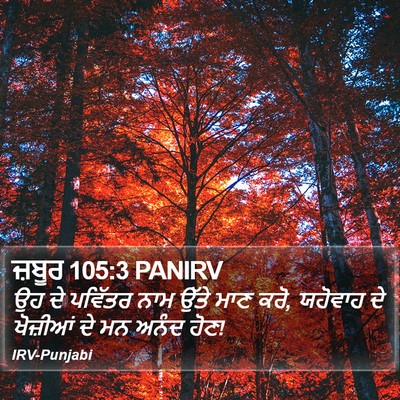 ਜ਼ਬੂਰ 105:3 PANIRV Bible Verse Image
