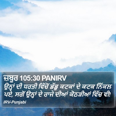 ਜ਼ਬੂਰ 105:30 PANIRV Bible Verse Image