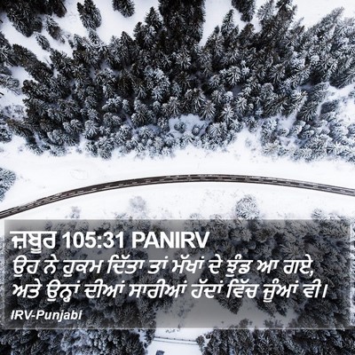 ਜ਼ਬੂਰ 105:31 PANIRV Bible Verse Image