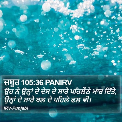ਜ਼ਬੂਰ 105:36 PANIRV Bible Verse Image