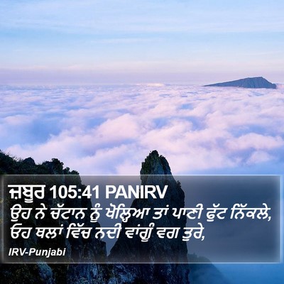 ਜ਼ਬੂਰ 105:41 PANIRV Bible Verse Image