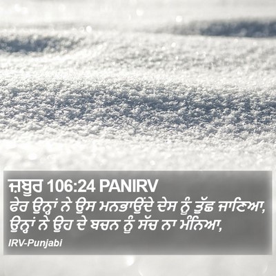 ਜ਼ਬੂਰ 106:24 PANIRV Bible Verse Image