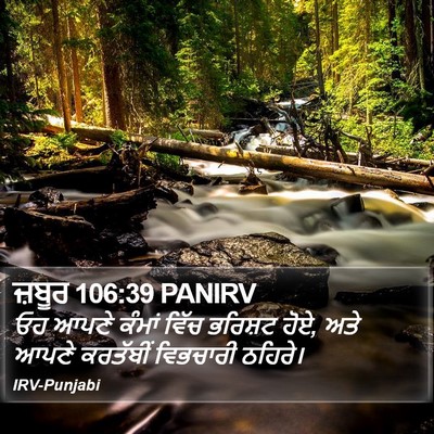 ਜ਼ਬੂਰ 106:39 PANIRV Bible Verse Image